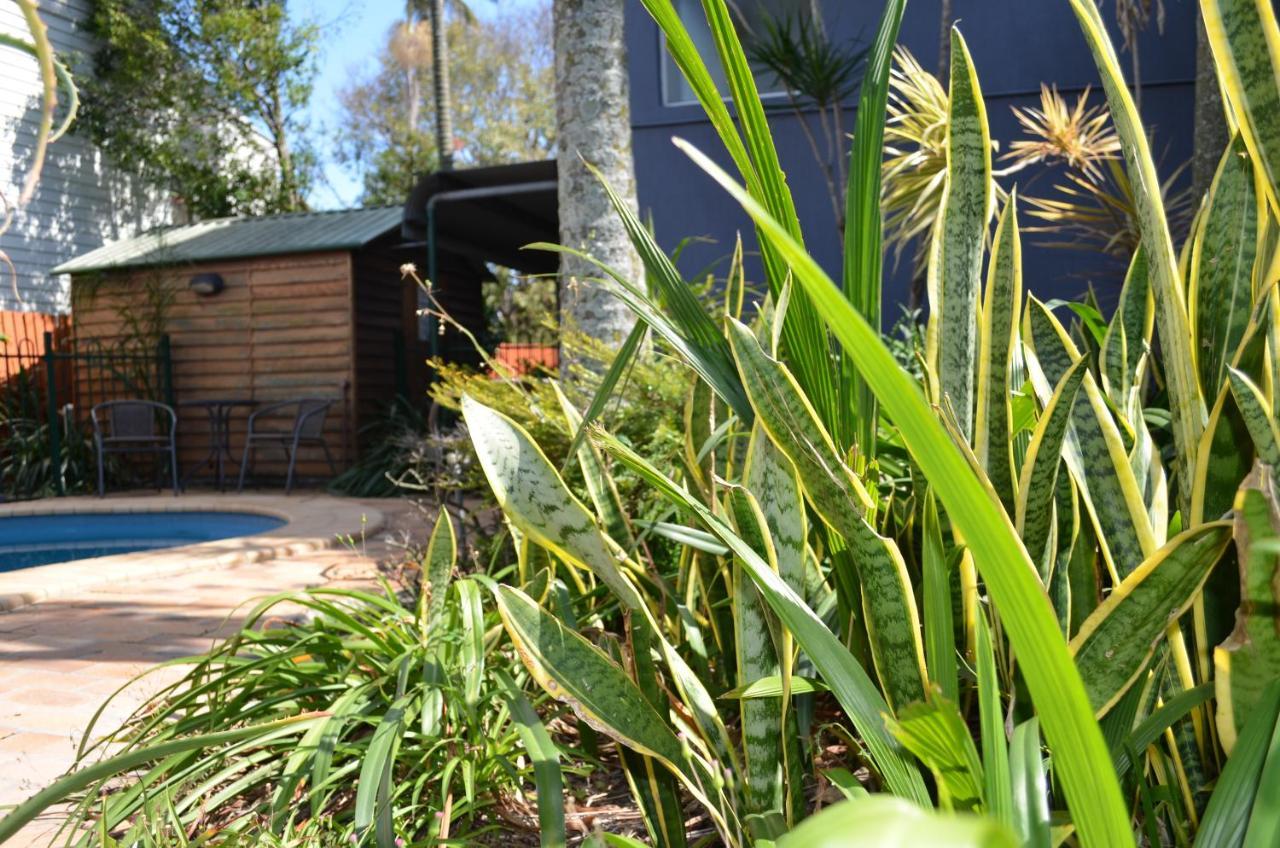 Airport Motel Brisbane Ngoại thất bức ảnh